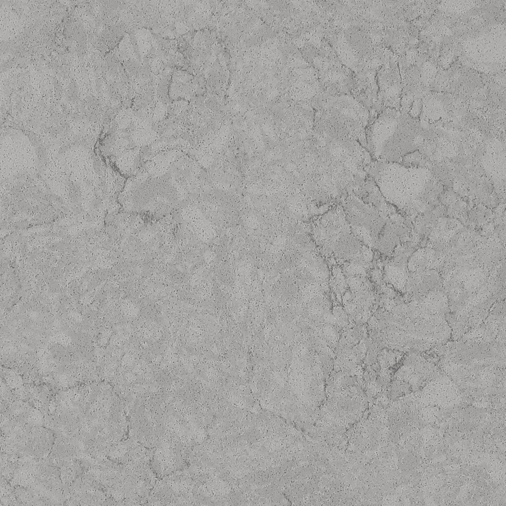 Grey Alaska close-up